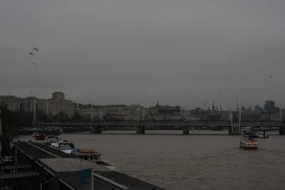 DSC_5808 (Large).JPG